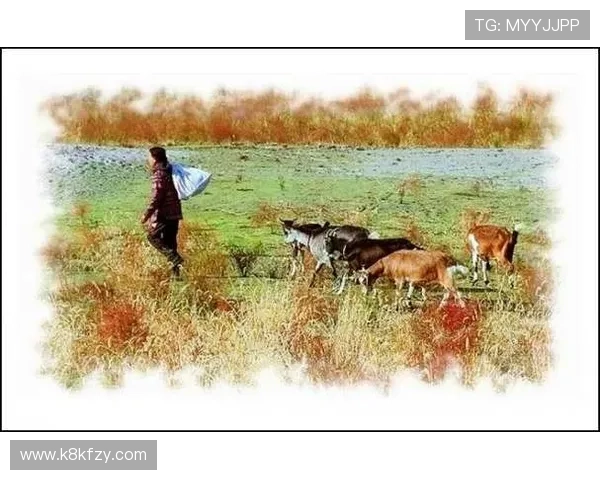 三公三孤：三公三孤的文化价值与传统玩法的传承与创新