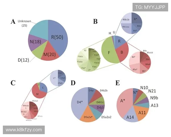 PAP德州常见问题解答,解决玩家在游戏中遇到的各种疑难与操作困扰 PAP德州常见问题解答,解决玩家在游戏中遇到的各种疑难与操作困扰